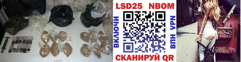как найти закладки  Новоалександровск  LSD-25 экстази ecstasy 