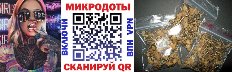 Галлюциногенные грибы ЛСД  что такое   Новоалександровск 