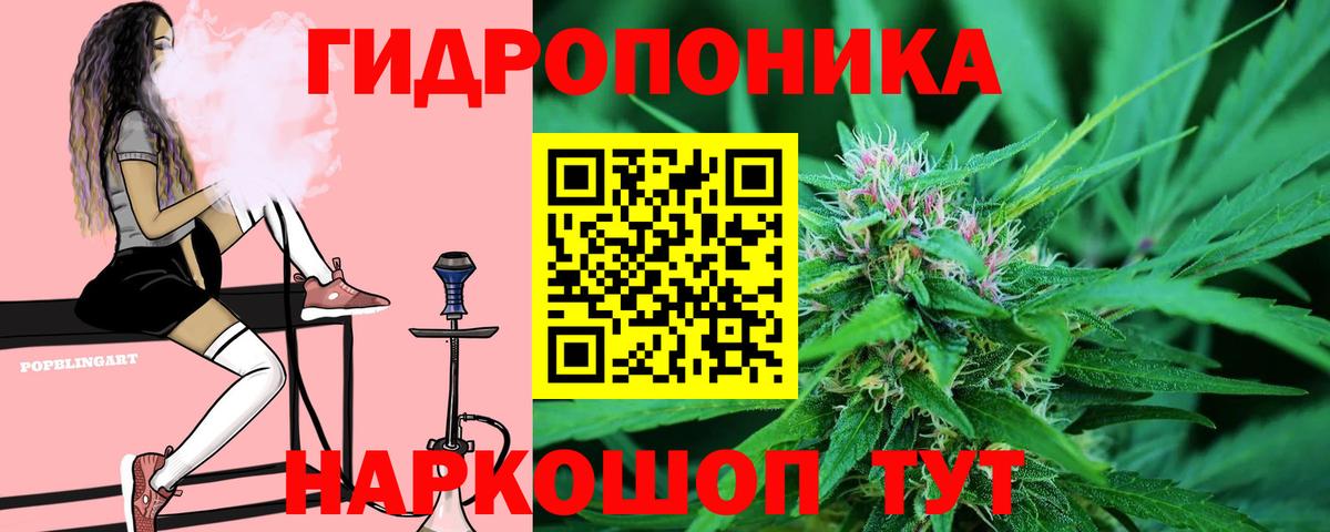 Новоалександровск  Бошки марихуана марихуана  Вход с VPN  Бошки Шишки индика  Марихуана MAZAR 